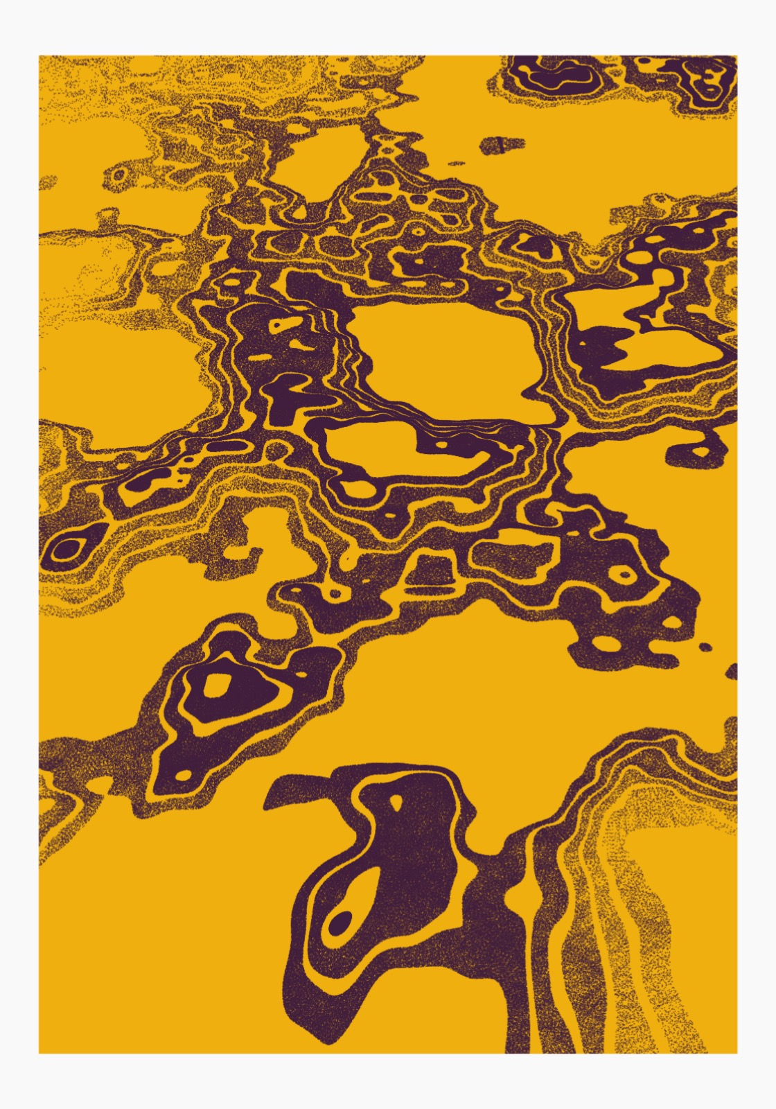 Topographic Studies